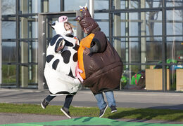 Zamów nadmuchiwane kombinezony sumo z motywem Cow & Bull dla młodszych i starszych. Kup nadmuchiwane kombinezony sumo online w JB Dmuchańce Polska