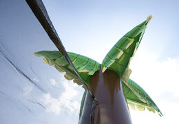 Na sprzedaż dmuchane boisko do siatkówki z palmami super gra dla dzieci i dorosłych. Zamów wyjątkowe dmuchańce opcje bezpiecznych gier dla wielu osób bezpośrednio od producenta JB Dmuchance  