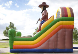 Wielofunkcyjna dmuchana zjeżdżalnia o tematyce plażowej z brodzikiem, imponującym obiektem 3D, świeżymi kolorami i przeszkodami 3D dla dzieci. Kup nadmuchiwane zjeżdżalnie online w JB Dmuchańce Polska