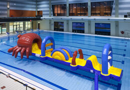 Zamów unikalny nadmuchiwany bieg z przeszkodami w motywie kraba z trudnymi obiektami z przeszkodami dla młodszych i starszych. Kup nadmuchiwane atrakcje wodne online już teraz w JB Dmuchańce Polska