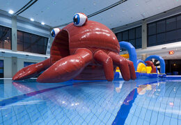 Unikalny nadmuchiwany bieg z przeszkodami w motywie kraba z trudnymi obiektami przeszkodowymi dla młodych i starszych. Kup nadmuchiwane atrakcje wodne online już teraz w JB Dmuchańce Polska