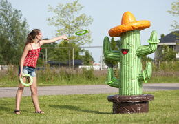  Do kupienia duży dmuchany kaktus z obręczami do rzucania i celowania. Zamów z dostawą wyjątkowe dmuchane gry dla dzieci i dorosłych z profesjonalnej firmy JB Dmuchance 