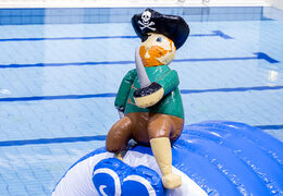 Piracki tor przeszkód w unikalnym stylu z zabawnymi obiektami 3D i nie mniej niż 2 zjeżdżalniami dla młodszych i starszych. Kup nadmuchiwany basen z przeszkodami online w JB Dmuchańce Polska