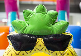 Tor przeszkód Flamingo Run w unikalnym designie dla młodszych i starszych. Kup nadmuchiwany basen z przeszkodami online w JB Dmuchańce Polska