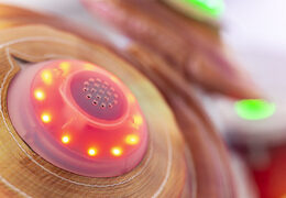 Nadmuchiwany zestaw perkusyjny z interaktywnym systemem gier na sprzedaż