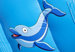 Kup nadmuchiwaną zjeżdżalnię z delfinem w wesołych kolorach, z obiektami 3D i zabawnym nadrukiem na bocznej ścianie dla dzieci. Zamów nadmuchiwane zjeżdżalnie w JB Dmuchańce Polska