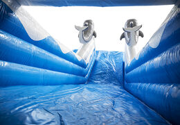 Kup teraz online swoją dmuchaną zjeżdżalnię z delfinem w wesołych kolorach, z obiektami 3D i zabawnym nadrukiem na bocznej ścianie. Zamów nadmuchiwane zjeżdżalnie w JB Dmuchańce Polska