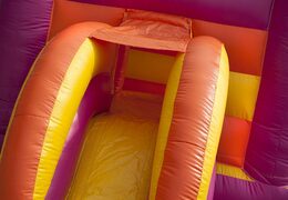 Kup wielofunkcyjny dmuchany zamek midi z dachem dla dzieci do użytku komercyjnego z motywem księżniczki w JB Dmuchańce Polska