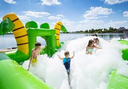 Groot opblaasbaar open bubble boarding park springkussen met schuim kopen in thema krokodil voor kinderen