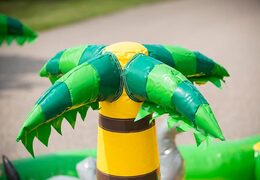 Wielofunkcyjny dmuchany zamek w dżungli z plastikowymi piłkami i obiektami 3D dla dzieci. Kup dmuchane zamki online w JB Dmuchańce Polska