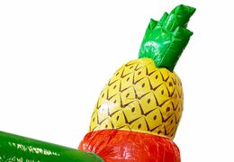 Kup zadaszony dmuchany zamek Hawaii ze zjeżdżalnią dla dzieci. Zamów dmuchane zamki online w JB Dmuchańce Polska