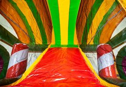 Wielofunkcyjny dmuchany zamek XXL Jungleworld w unikalnym designie z dwoma wejściami, zjeżdżalnią pośrodku i obiektami 3D dla dzieci na zamówienie. Kup dmuchane zamki online w JB Dmuchańce Polska