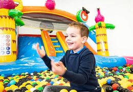 Zamów nadmuchiwany wielofunkcyjny zamek do skakania w motywie flaminga z wanienką lub bez w JB Dmuchańce Polska. Kup dmuchane zamki online w JB Dmuchańce Polska