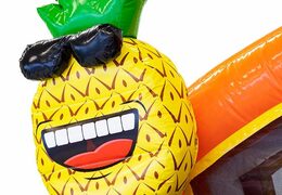 Kup nadmuchiwany wielozadaniowy dmuchany zamek w motywie flaminga z wanienkami, które można połączyć w JB Dmuchańce Polska. Zamów dmuchane zamki online w JB Dmuchańce Polska