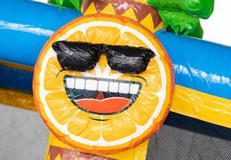 Na sprzedaż dmuchany zamek różowo-żółty Flaming Multi Splash ze zjeżdżalnią i kąpielą wodną. Kup najlepsze dmuchańce do zabaw na świeżym powietrzu dla dzieci w JB Dmuchance