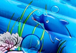 Kup nadmuchiwany, wielofunkcyjny domek do skakania seaworld dla dzieci. Zamów bounce house online w JB Dmuchańce Polska