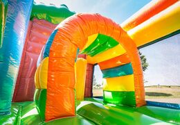 Kup średni nadmuchiwany, wielozadaniowy dmuchany zamek ze zjeżdżalnią dla dzieci o tematyce bajkowej. Zamów dmuchane zamki do skakania online w JB Dmuchańce Polska