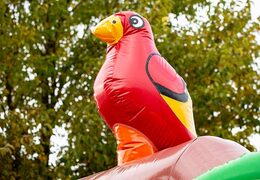 Nadmuchiwany bramkarz typu combo w pirackim stylu na sprzedaż w JB Dmuchańce Polska. Kup dmuchane zamki ze zjeżdżalnią dla dzieci