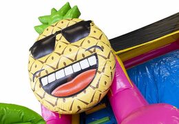 Kup nadmuchiwany kompaktowy dmuchany zamek zjeżdżalni dla dzieci w motywie hawajskim