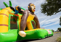 nadmuchiwana poduszka powietrzna multiplay super z motywem dżungli słonia i goryla na sprzedaż dla dzieci