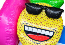 Sprzedam nadmuchiwany dmuchany zamek Mini Multiplay z motywem Flamingo dla dzieci. Nadmuchiwane dmuchane zamki na sprzedaż w JB Dmuchańce Polska