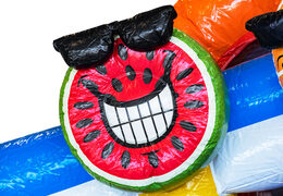 Zamów dmuchany zamek Mini Multiplay z motywem Flamingo dla dzieci. Kup dmuchane zamki do skakania w JB Dmuchańce Polska