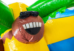 3D figuur op springkussen Dubbelslide lachende kokosnoot thema Hawaii Flamingo