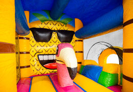 Wnętrze zamku dmuchanego z flamingiem i ananasem na sprzedaż