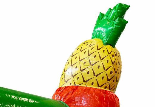 Kup zadaszony dmuchany zamek Hawaii ze zjeżdżalnią dla dzieci. Zamów dmuchane zamki online w JB Dmuchańce Polska