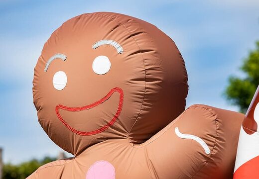 Opblaasbaar open bubble boarding park luchtkussen met schuim kopen in thema candyland snoep lollipop voor kinderen