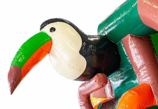 Dmuchany zamek do skakania amazone do kupienia w JB Dmuchańce Polska. Zamów dmuchane zamki do skakania ze zjeżdżalnią już teraz