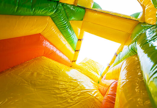 Mam do sprzedania nadmuchiwaną poduszkę powietrzną Mini Multiplay z motywem lwa dla dzieci. Zamów nadmuchiwane poduszki powietrzne w JB Dmuchańce Polska