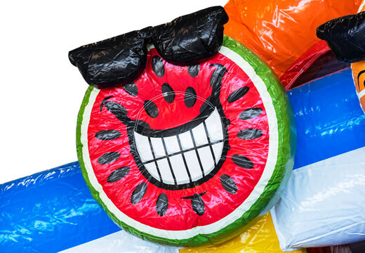 Zamów dmuchany zamek Mini Multiplay z motywem Flamingo dla dzieci. Kup dmuchane zamki do skakania w JB Dmuchańce Polska